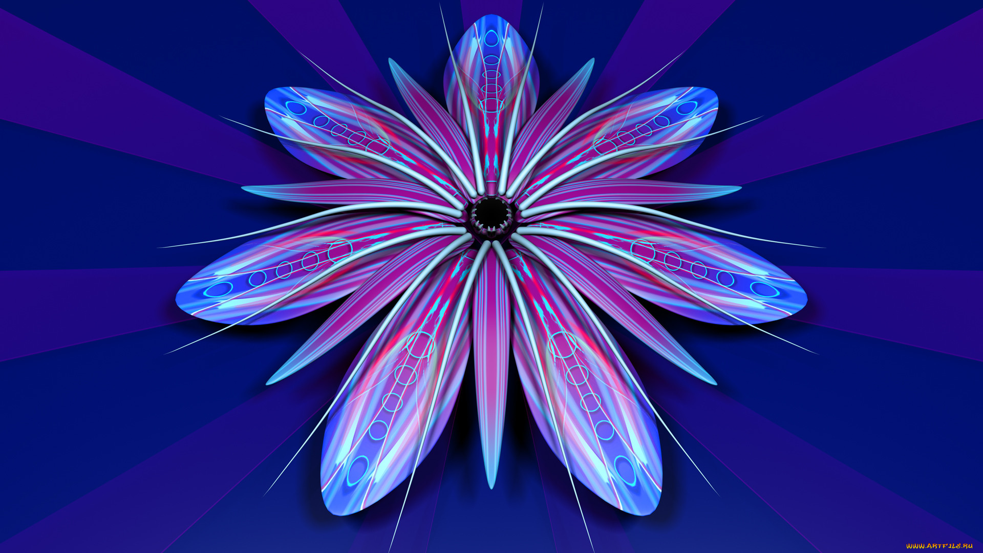 3, , flowers, , , 